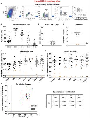 Amplification of Replication Competent HIV-1 by Adoptive Transfer of Human Cells From Infected Humanized Mice